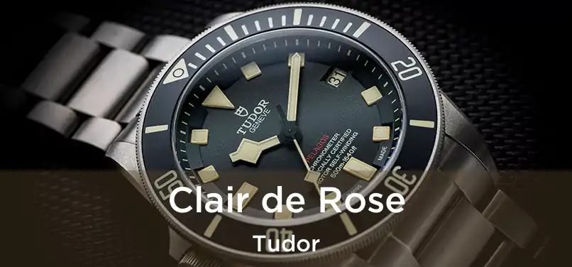  Clair de Rose Tudor