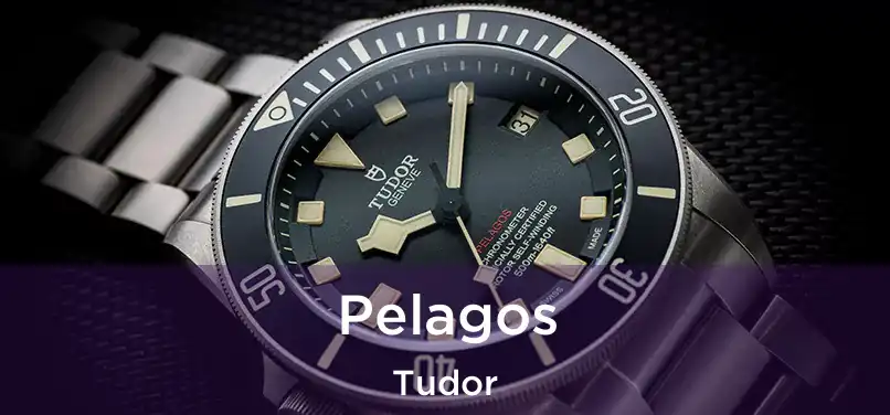  Pelagos Tudor